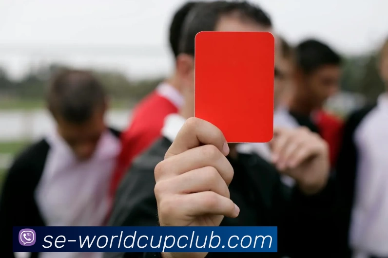 体育赛事信息品牌故事